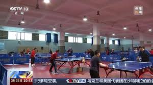 运动鞋：高品质、低调奢华